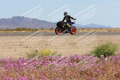 media/Mar-12-2023-SoCal Trackdays (Sun) [[d4c8249724]]/Turn 15 Inside Bloom (130pm)/